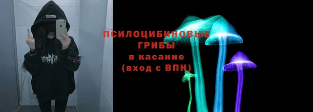 шишки Баксан
