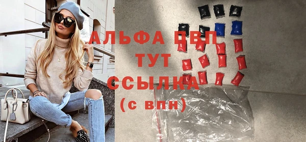 индика Балахна