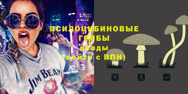шишки Баксан
