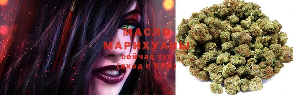 крисы Аркадак