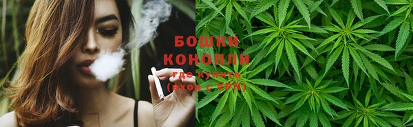 шишки Баксан
