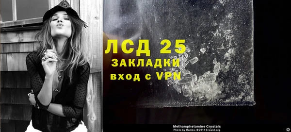 шишки Баксан