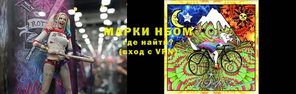 индика Балахна